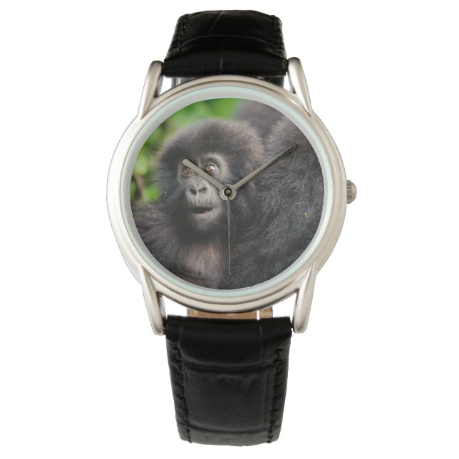 Cutest Baby Animals | Young Mountain Gorilla Watch (Front)