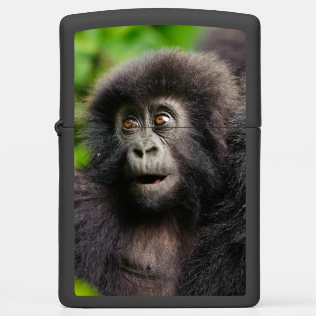Cutest Baby Animals | Young Mountain Gorilla Zippo Lighter (Front)