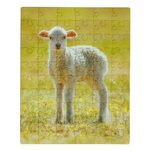 Cutest Baby Animals Young Sheep Jigsaw Puzzle