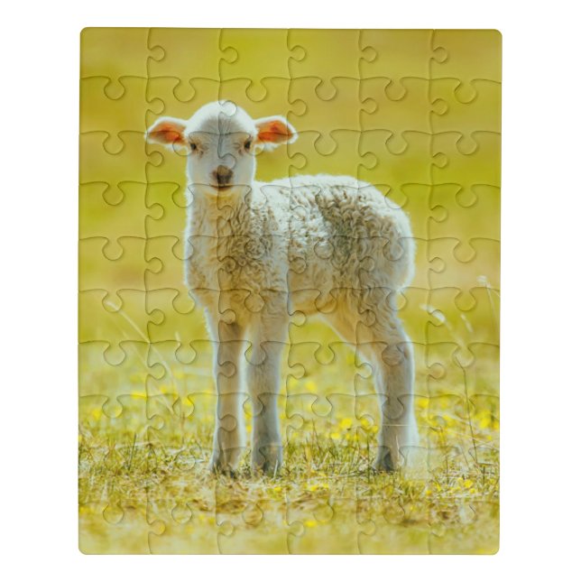 Cutest Baby Animals | Young Sheep Jigsaw Puzzle (Puzzle Vertical)