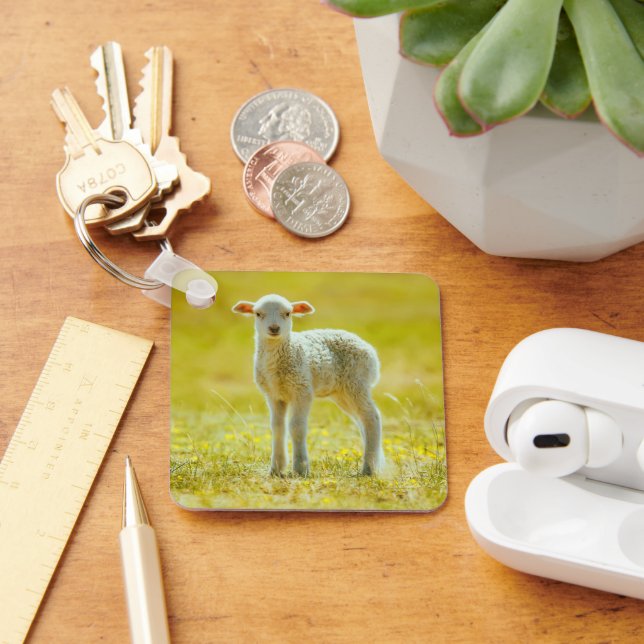 Cutest Baby Animals | Young Sheep Keychain (Desk)