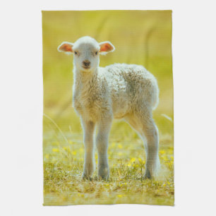 Cutest Baby Animals   Young Sheep Kitchen Towel