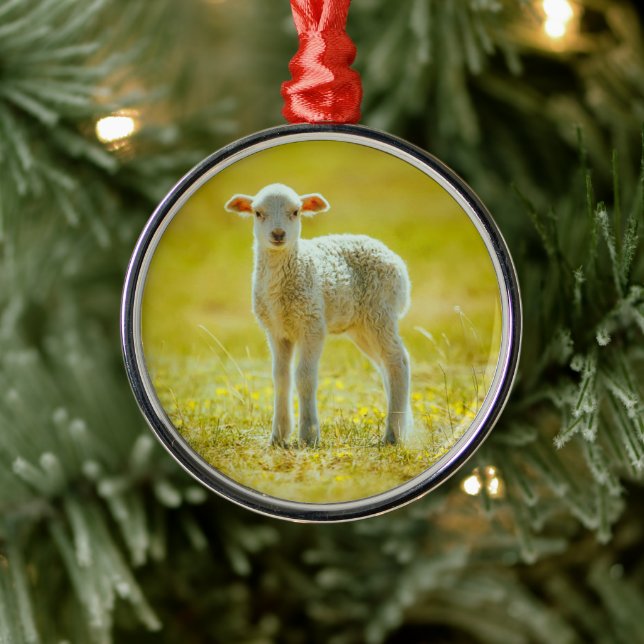 Cutest Baby Animals | Young Sheep Metal Ornament (Tree)