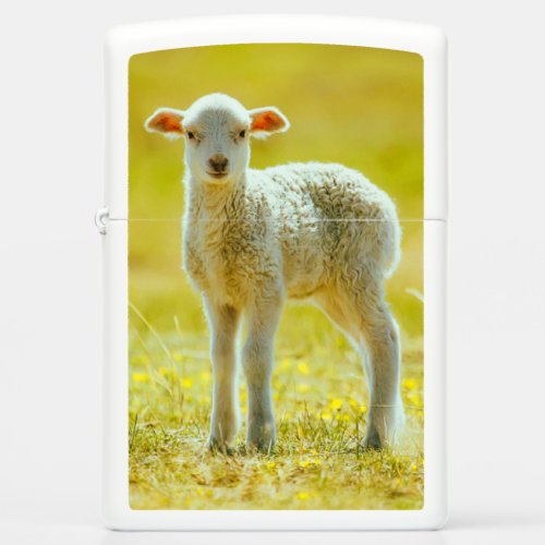 Cutest Baby Animals  Young Sheep Zippo Lighter