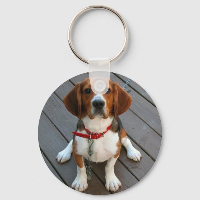 Cutest Beagle Dog Ever Keychain (Front)