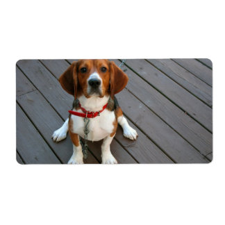 Cutest Beagle Dog Ever Label