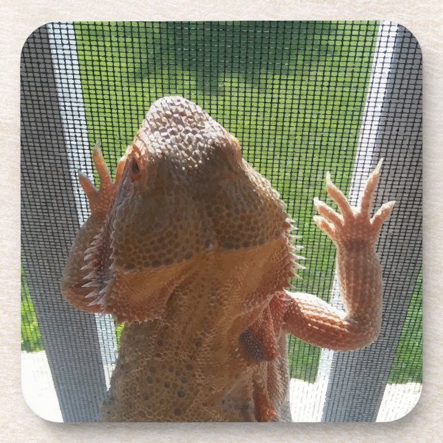 Cutest Bearded Dragon Photo Print Beverage Coaster (Front)