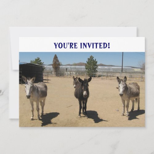Cutest Birthday Burros Western Custom Invites