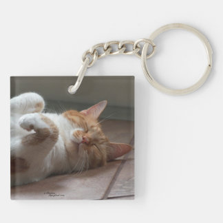 Cutest cats sleeping Keychain