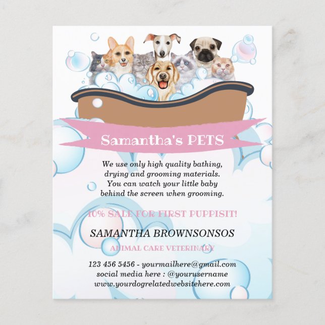 Cutest Dogs Cats Spa Sitter Groom PetCare Services Flyer (Front)