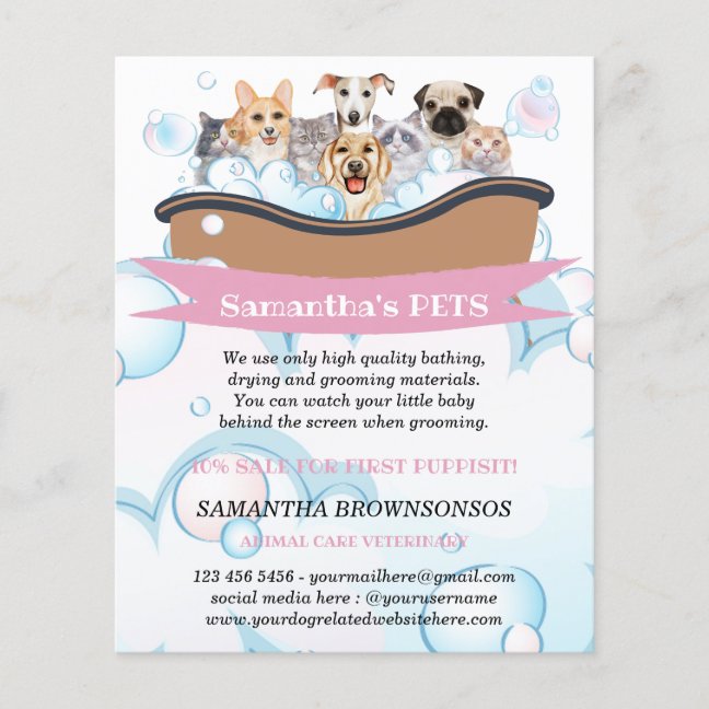 Cutest Dogs Cats Spa Sitter Groom PetCare Services Flyer