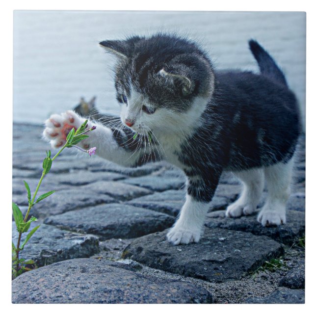 Cutest ever kitten with flower ceramic tile (Front)