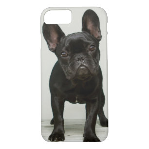 Cutest French Bulldog Puppy iPhone 8/7 Case