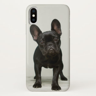 Cutest French Bulldog Puppy iPhone X Case