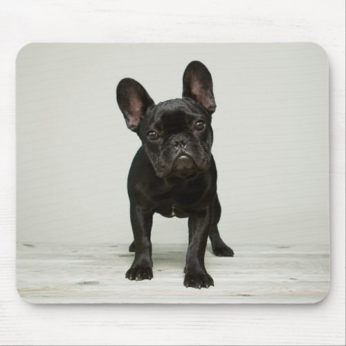 Cutest French Bulldog Puppy Mouse Pad