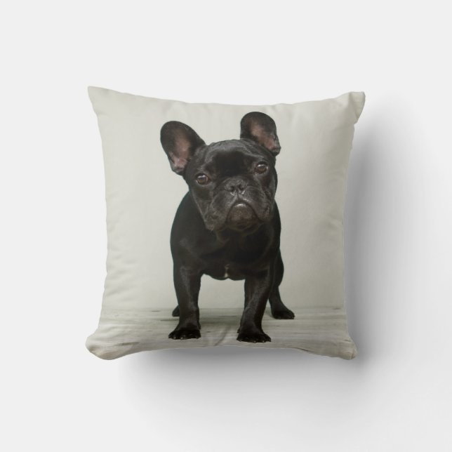 Cutest French Bulldog Puppy Throw Pillow (Front)