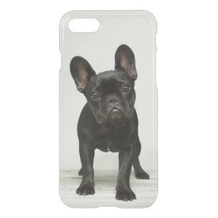 Cutest French Bulldog Puppy iPhone SE/8/7 Case