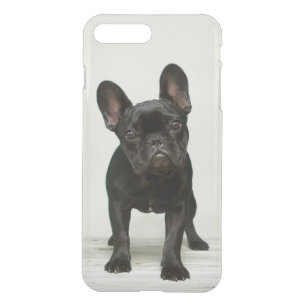 Cutest French Bulldog Puppy iPhone 8 Plus/7 Plus Case
