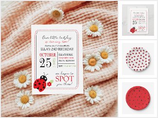 Cutest Little Ladybug Kids Birthday Party 