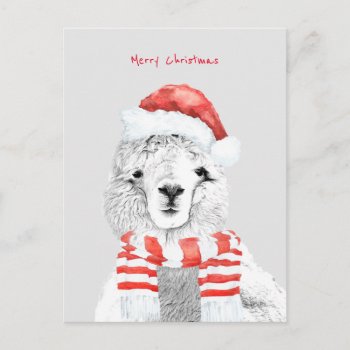 Cutest Llama Ever Minimalist Christmas Postcard by Vanillaextinctions at Zazzle