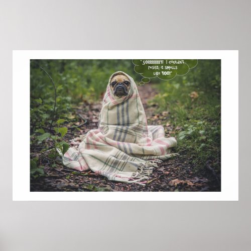 Cutest PUG in a Blanket Dog Poster