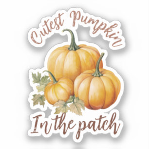 Cutest Pumpkin in the Patch Sticker