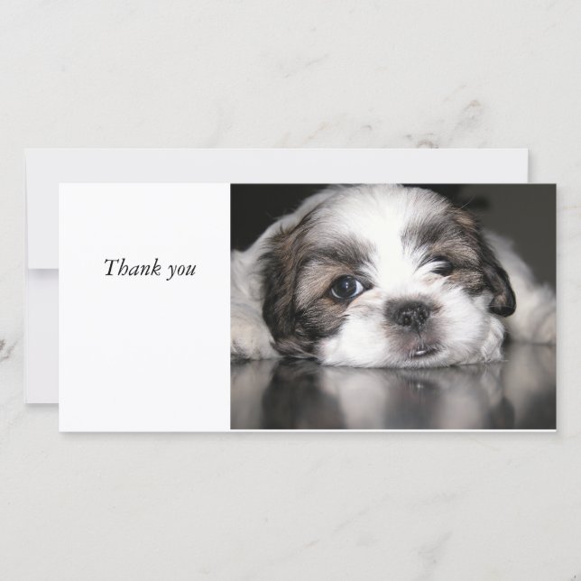 cutest puppy ever, Thank you (Front)