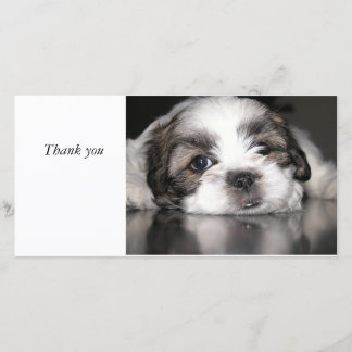 cutest puppy ever, Thank you Card