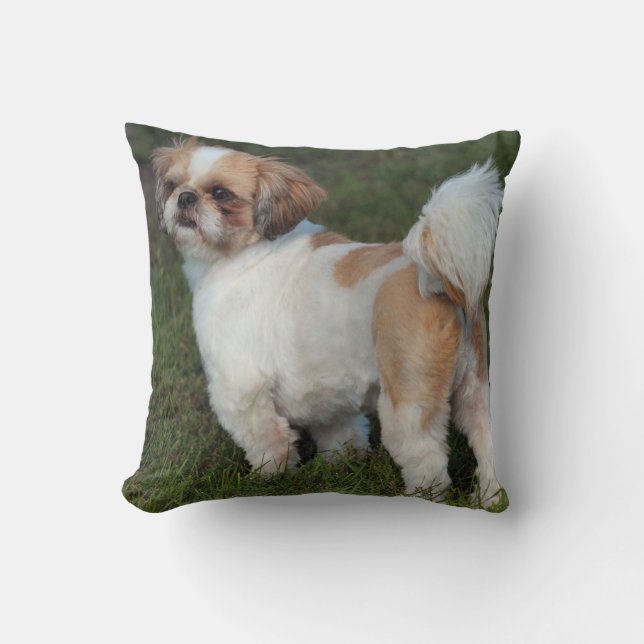 Cutest Shih Tzu Throw Pillow (Front)