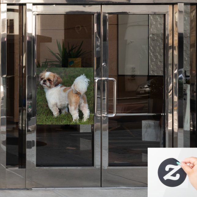 Cutest Shih Tzu Window Cling (Office Door)