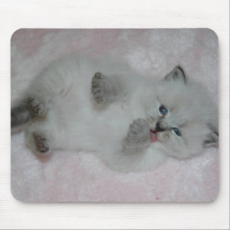 Cutest SibKitten Mousepad - Customized