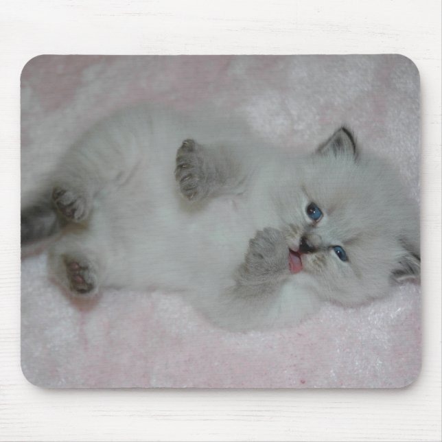 Cutest SibKitten Mousepad - Customized (Front)