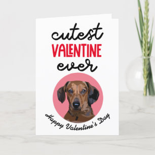 Cutest Valentine Ever ..from your Dachshund Holiday Card