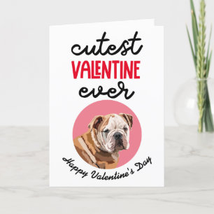 Cutest Valentine Ever ..from your English Bulldog Holiday Card