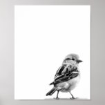 Cutest Wild Bird Photo Print