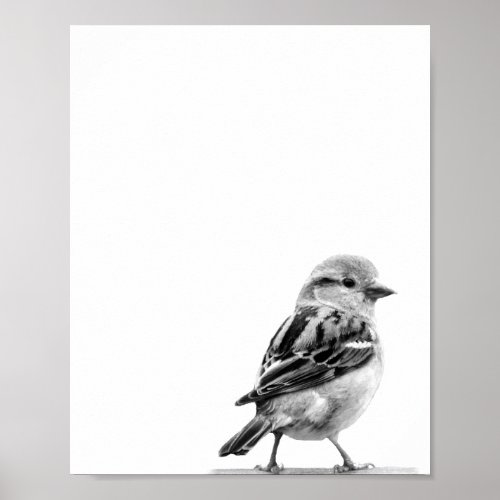 Cutest Wild Bird Photo Print