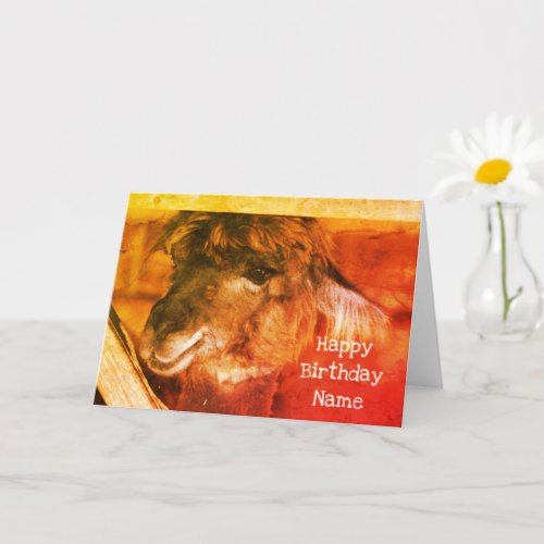 Cutey Llama Animal Art Personalized Birthday  Card