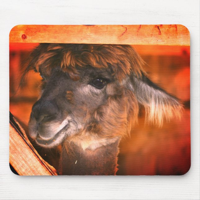 Cutey Llama Animal Mouse Pad (Front)