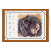 CUTIE BLACK COCK-A-POO MIX (Front Horizontal)