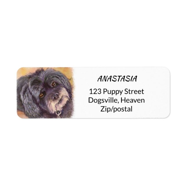 CUTIE BLACK COCK-A-POO MIX LABEL (Front)