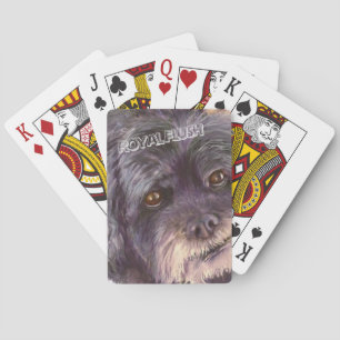 CUTIE BLACK COCK-A-POO MIX POKER CARDS