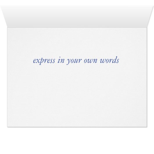 CUTIE BLACK HAVANESE (Inside Horizontal (Bottom))