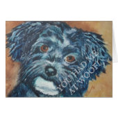 CUTIE BLACK HAVANESE (Front Horizontal)