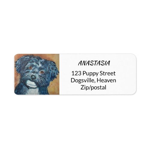 CUTIE BLACK HAVANESE LABEL