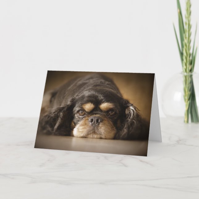 Cutie Cav! Card (Front)