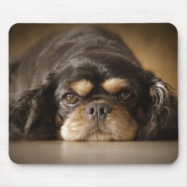 Cutie Cav! Mouse Pad (Front)