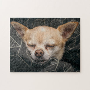 Cutie Chihuahua Jigsaw Puzzle