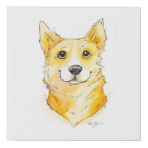 Cutie Corgi