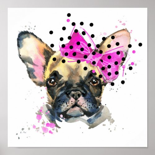 Cutie French Bull Dog Poster