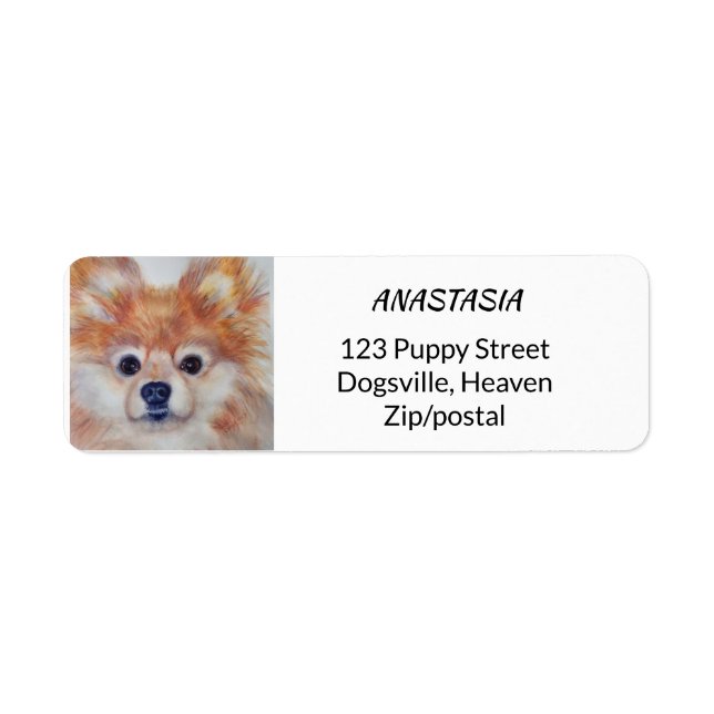 CUTIE GOLDEN POMERANIAN LABEL (Front)